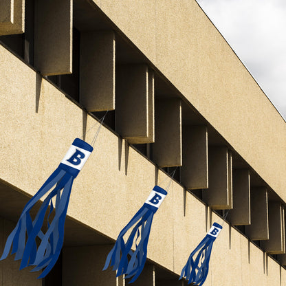 Brandeis University Windsock 30 x 5.5 inch