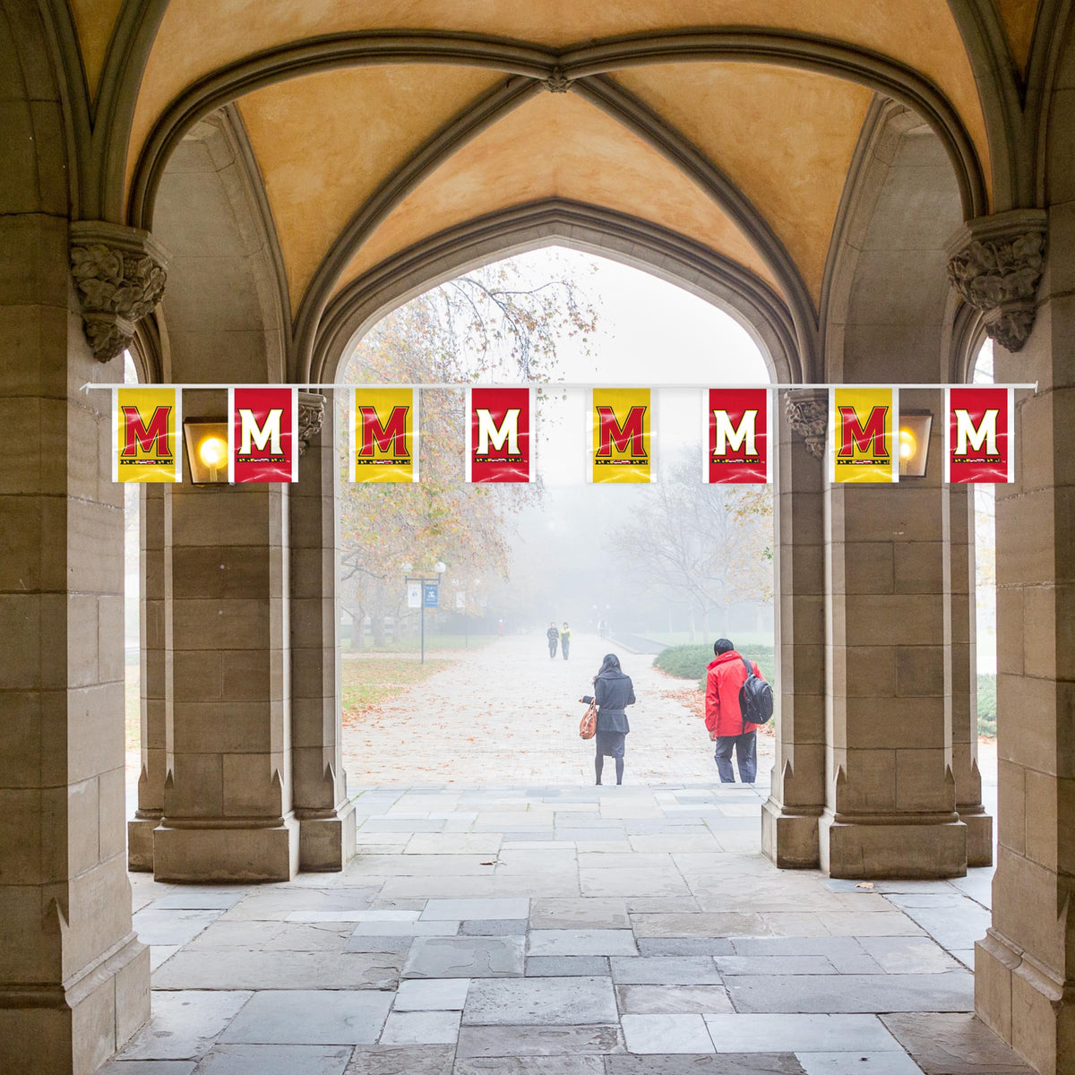 AGAS - Maryland University