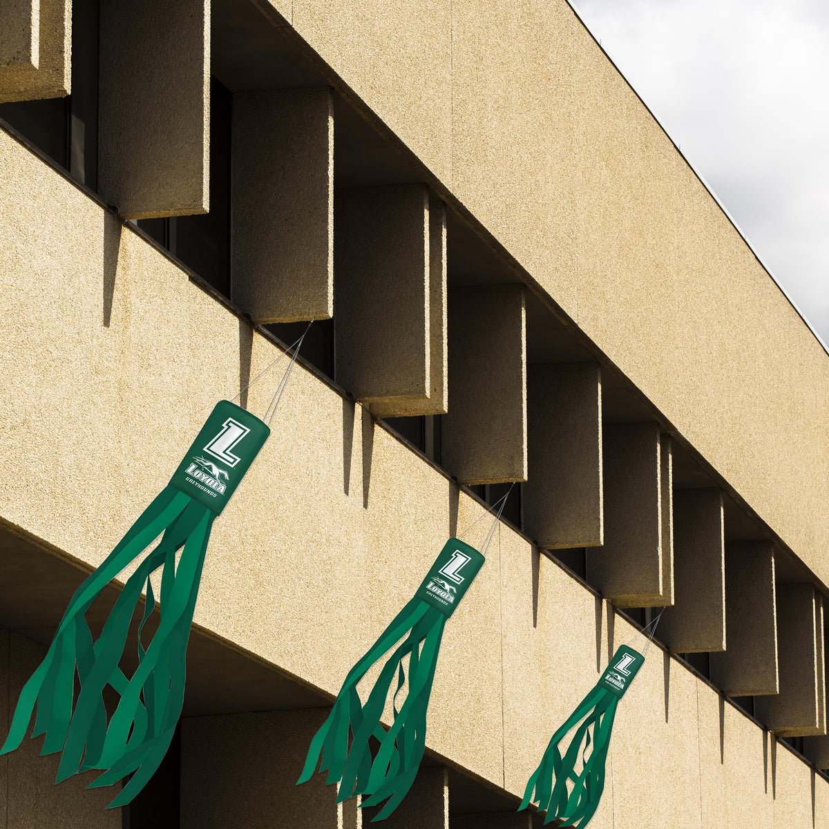 Loyola Maryland University Windsock 30 x 5.5 inch