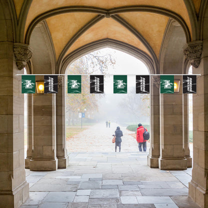 Loyola University Maryland Pennant String 9 x 12 inch
