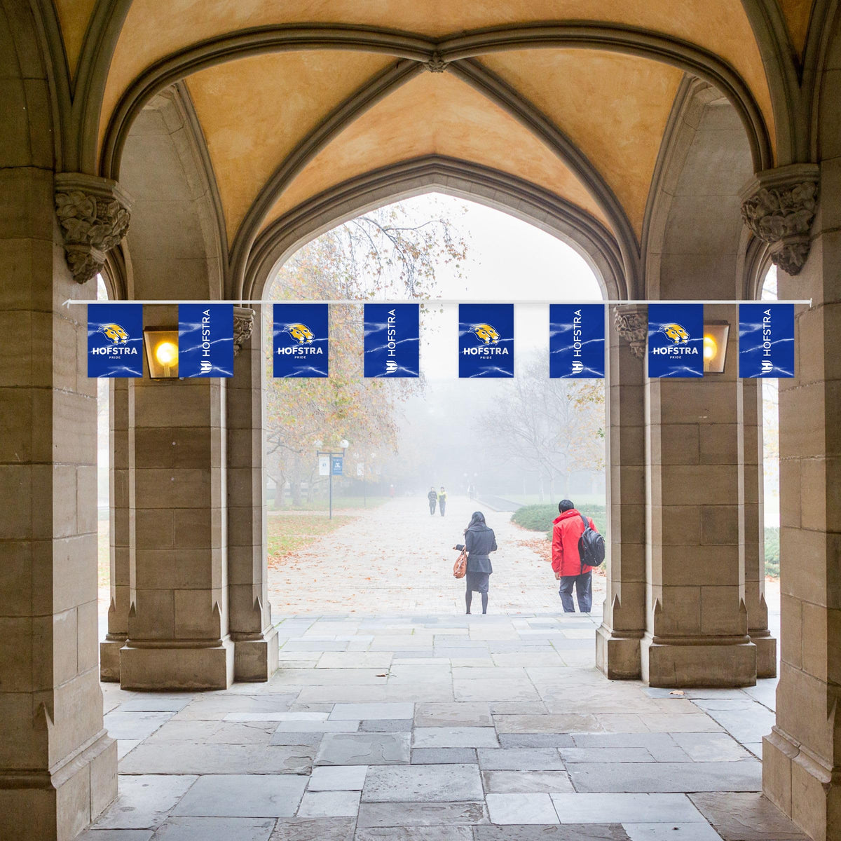 Hofstra University Rectangle Pennant String 9 x 12 inch
