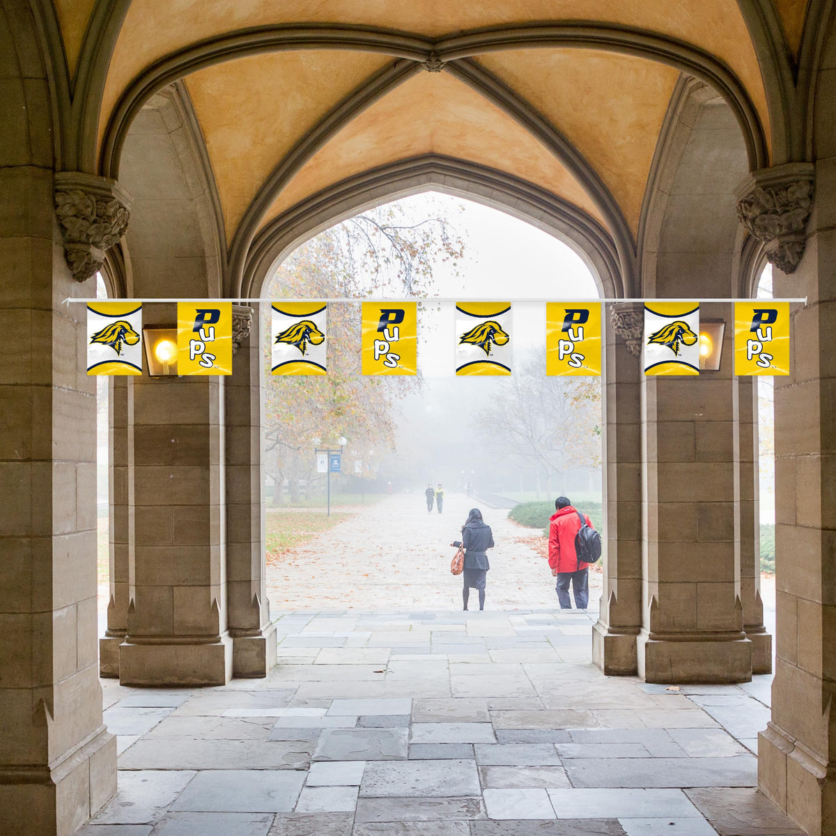 Pace University Pennant String 9 x 12 inch