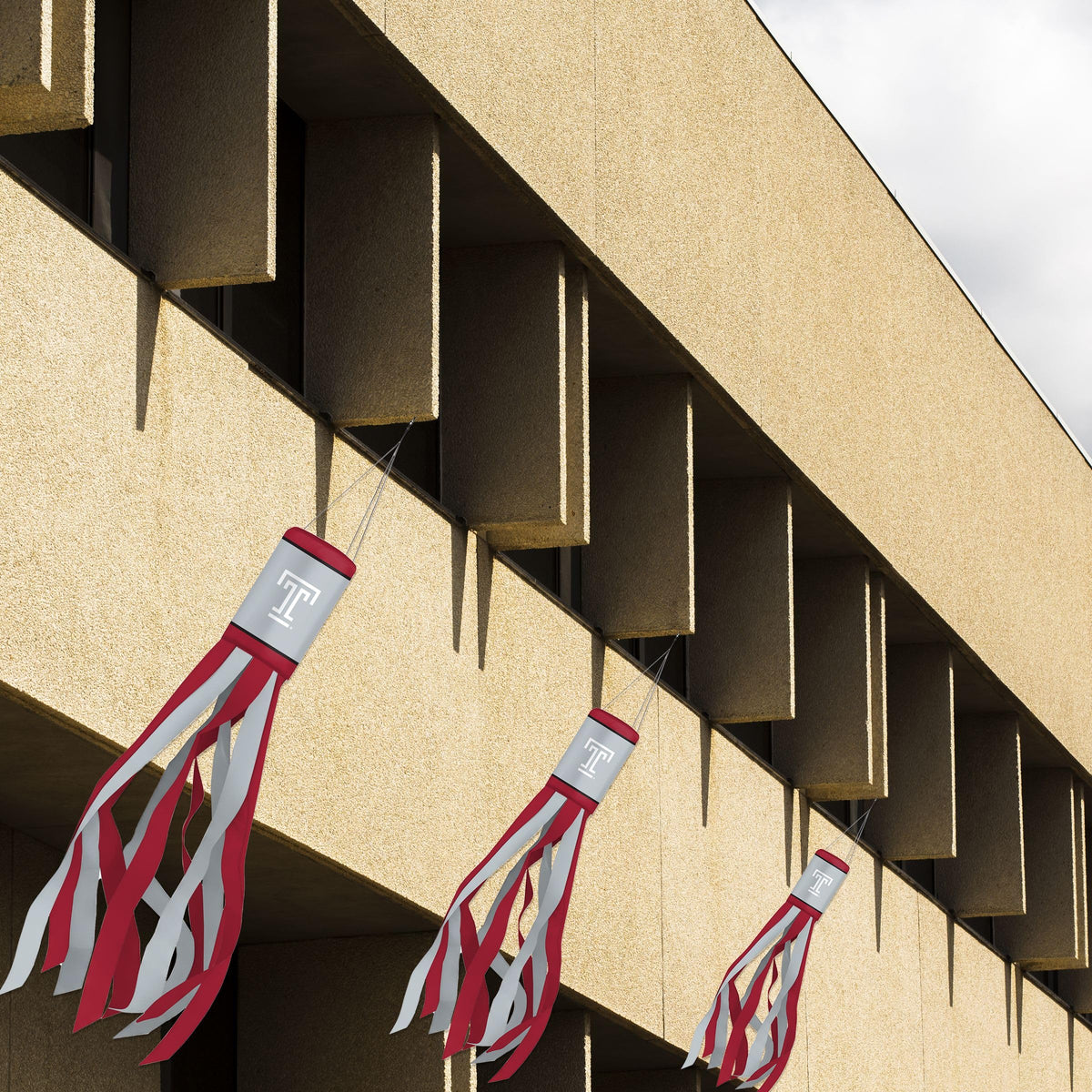 AGAS Temple University - Windsocks