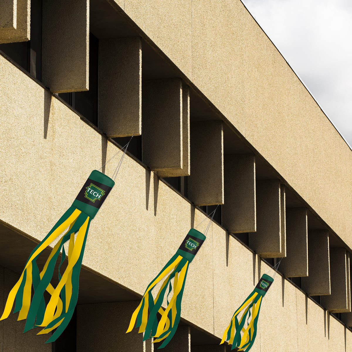 Arkansas Tech University Windsock 30 x 5.5 inch
