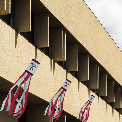 AGAS Temple University - Windsocks
