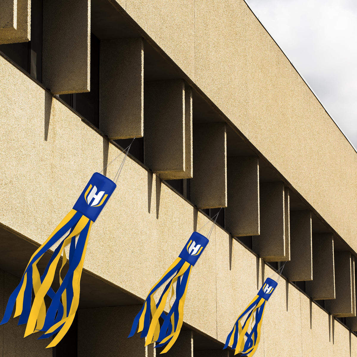 Hofstra University Windsock 30 x 5.5 inch