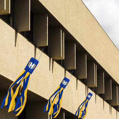 Hofstra University Windsock 30 x 5.5 inch