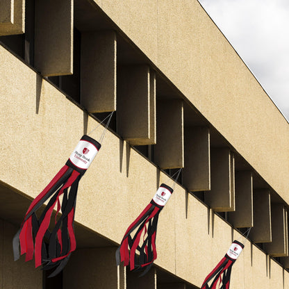 AGAS Stony Brook University Windsock 30 x 5.5 inch – Single Sided Printed Polyester Stony Brook Seawolves Windsock – Official NCAA SBU Product – Hanging Clip with Red Black and White Streamers