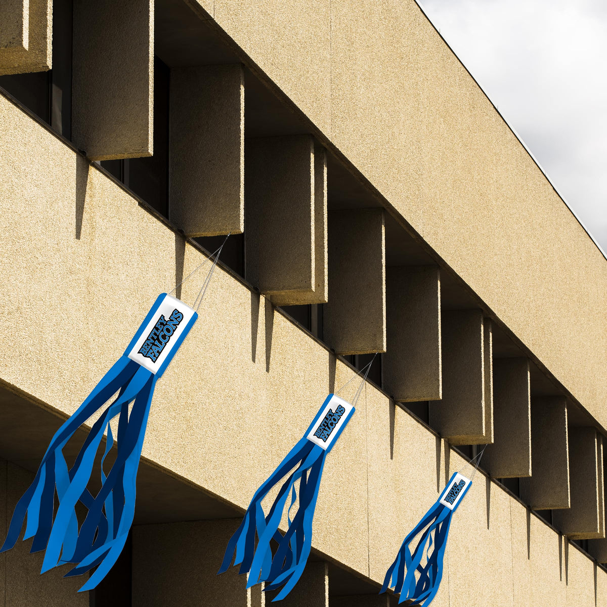 Bentley University Windsock 30 x 5.5 inch