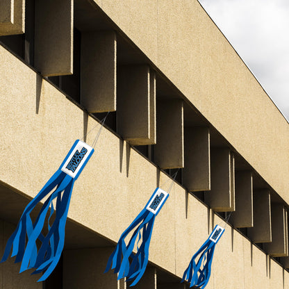Bentley University Windsock 30 x 5.5 inch