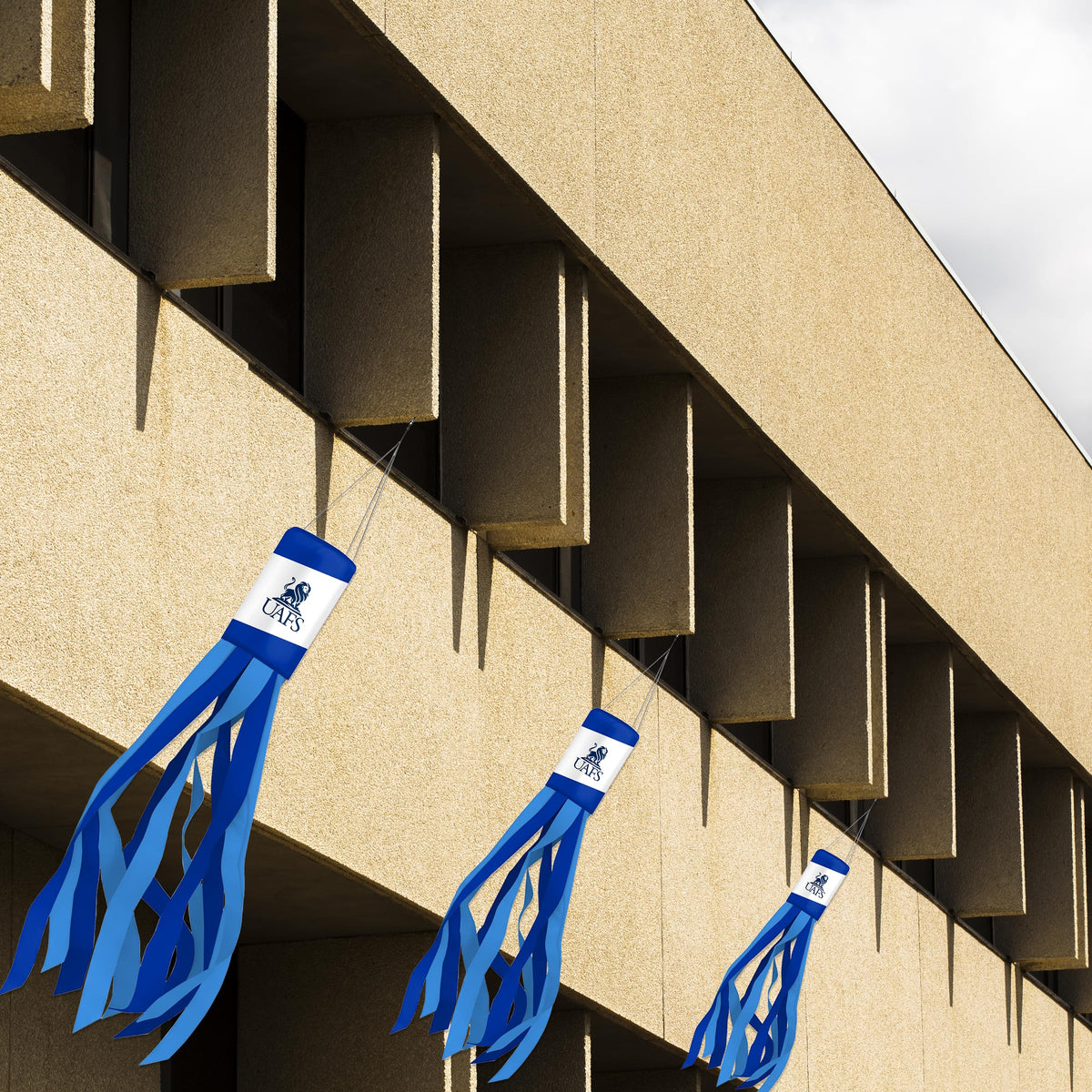 University of Arkansas Fort Smith Windsock 30 x 5.5 inch
