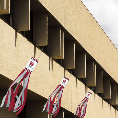 AGAS Temple University - Windsocks