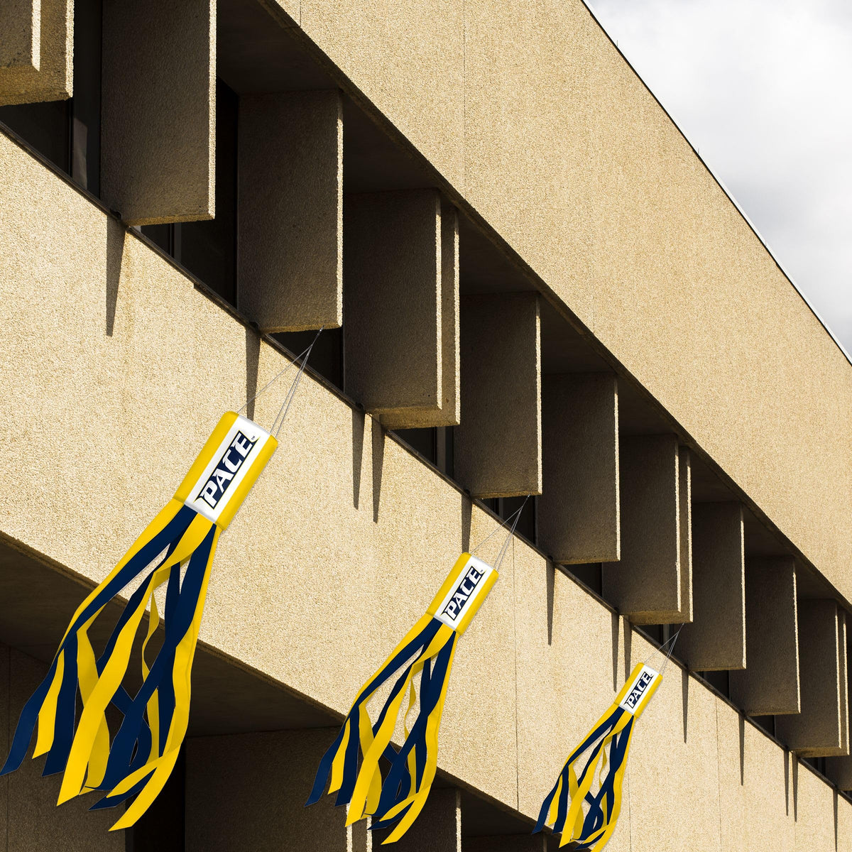 Pace University Windsock 30 x 5.5 inch