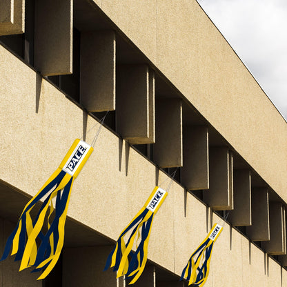 Pace University Windsock 30 x 5.5 inch