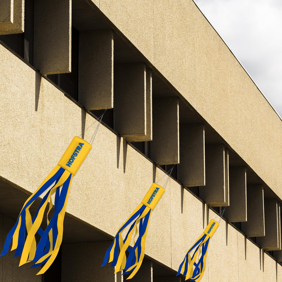 Hofstra University Windsock 30 x 5.5 inch