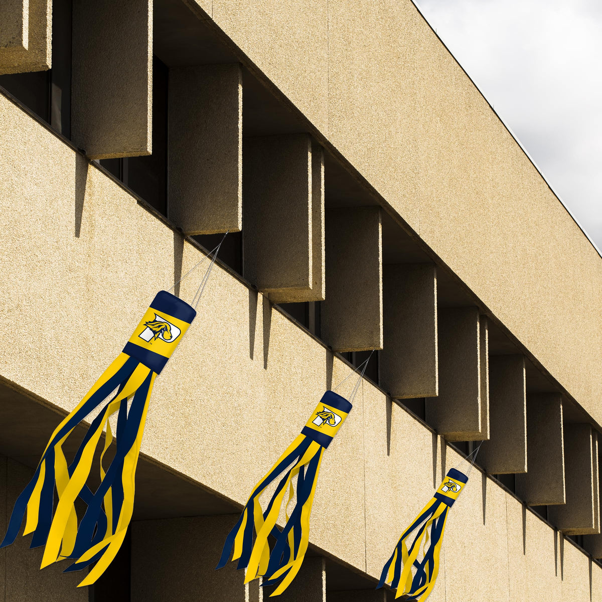 Pace University Windsock 30 x 5.5 inch