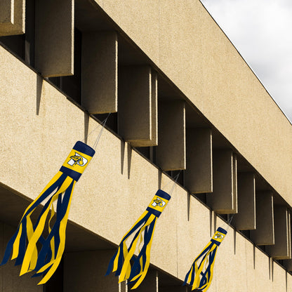 Pace University Windsock 30 x 5.5 inch