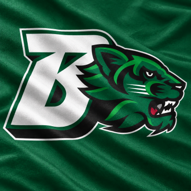 BINGHAMTON UNIVERSITY